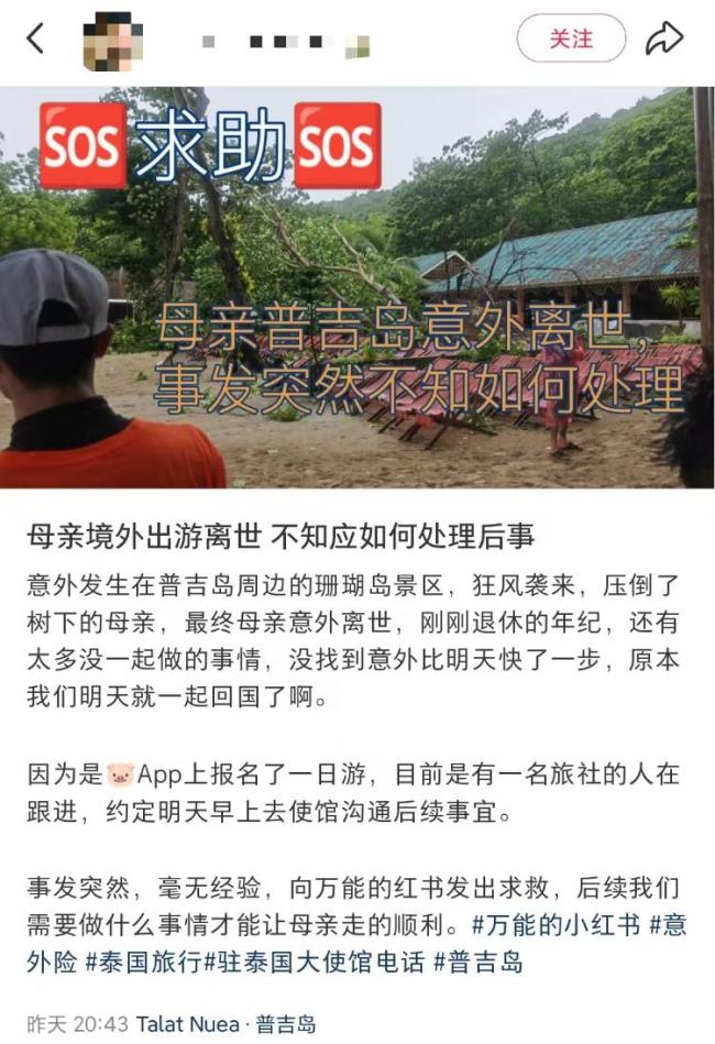 中国女游客在泰国被大树砸中去世