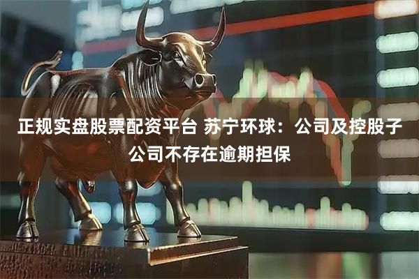 正规实盘股票配资平台 苏宁环球：公司及控股子公司不存在逾期担保