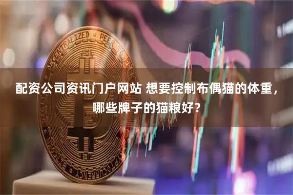 配资公司资讯门户网站 想要控制布偶猫的体重，哪些牌子的猫粮好？
