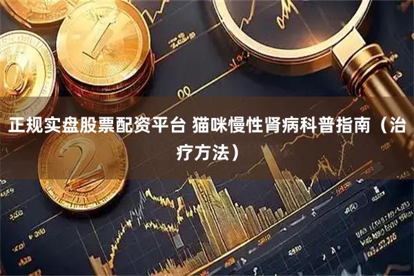 正规实盘股票配资平台 猫咪慢性肾病科普指南（治疗方法）